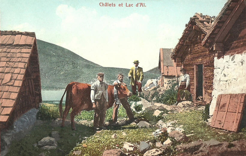 Carte postale colorise des annes 1920 : rue traversant le groupement de chalets du lac d'A sur la commune de Leysin dans le canton de Vaud (Suisse).