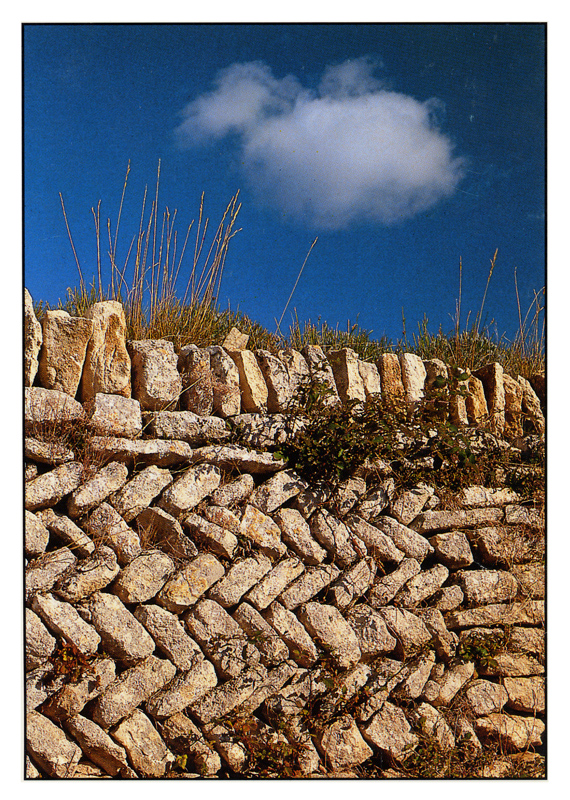  Mur en pis dans le Lubron . Carte postale de Pierre Ricou, 1990.